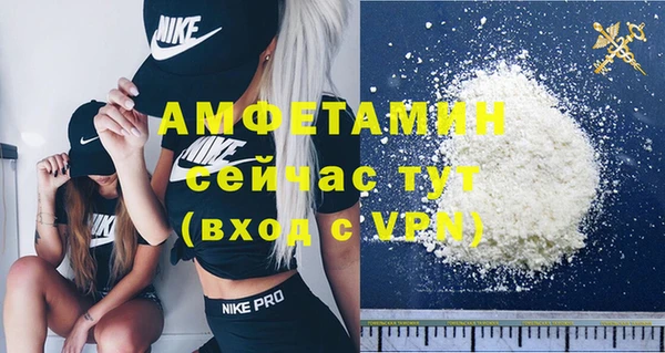 ПСИЛОЦИБИНОВЫЕ ГРИБЫ Болотное