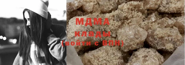 прущие грибы Абаза