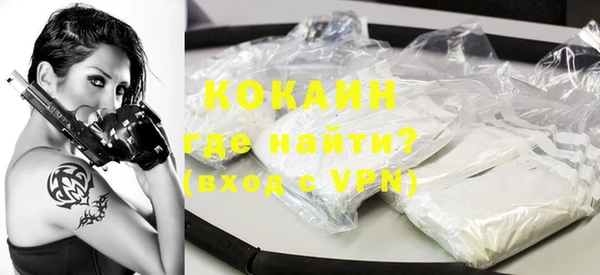 прущие грибы Абаза