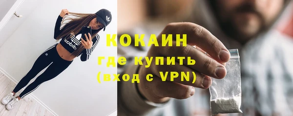прущие грибы Абаза