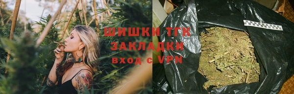 прущие грибы Абаза