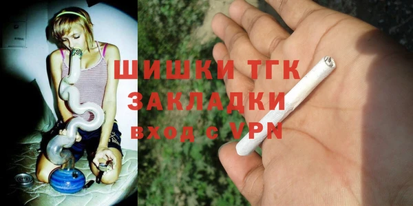 прущие грибы Абаза