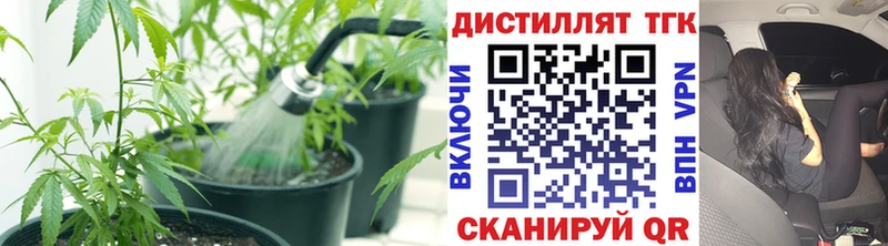 hydra как войти  Калининград  ТГК гашишное масло 