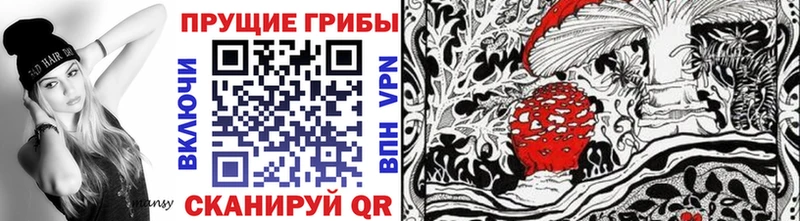 Псилоцибиновые грибы Psilocybine cubensis  Калининград 
