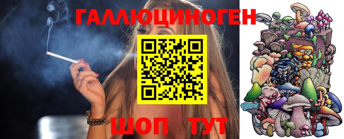 Галлюциногенные грибы мицелий  Псилоцибиновые грибы прущие грибы  купить закладку  Вход с VPN  Калининград 