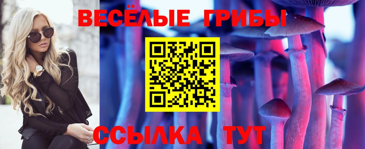 Псилоцибиновые грибы мицелий Калининград